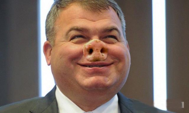 Сердюков опять в деле