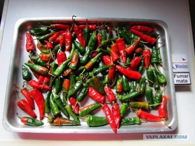 Кухня (кулинарное и околокулинарное общение)