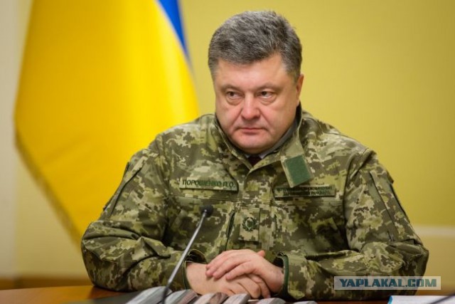 Боевой свин