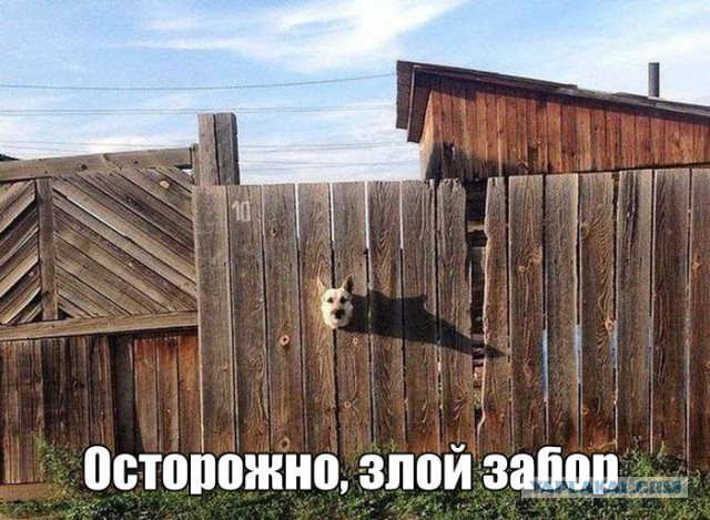 Несколько картинок