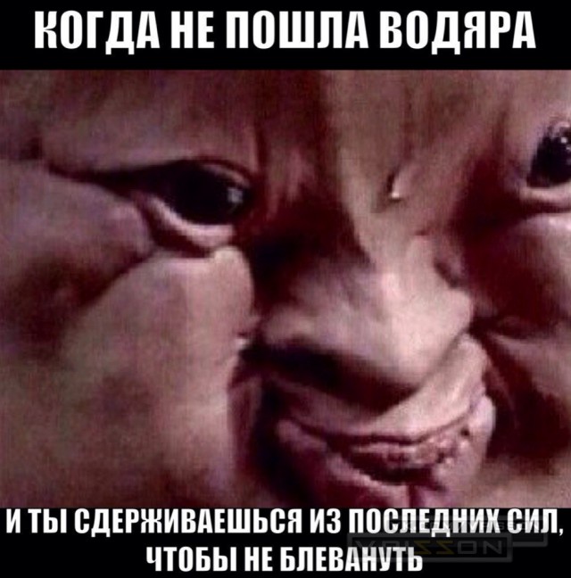 Ужасы и приколы из соцсетей 18+