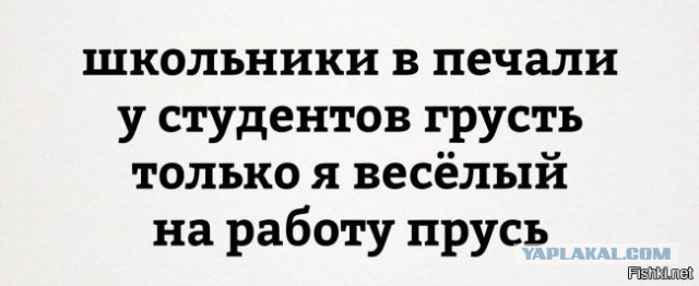 Подборка прикольных и веселых картинок