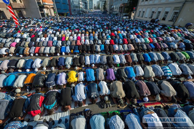 Что тут происходит?