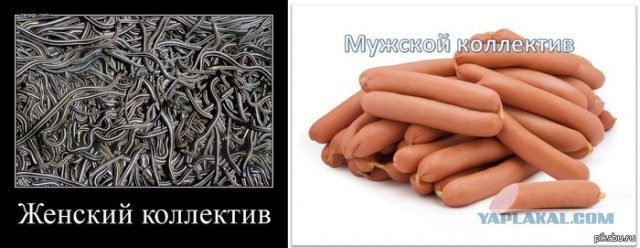 Глупые бабы? ДА.