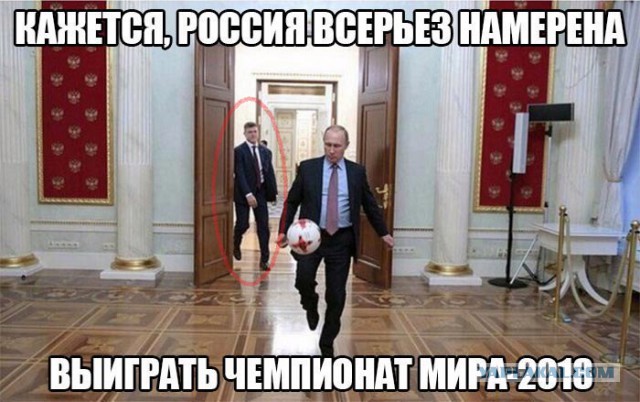 Картинки для поднятия настроения