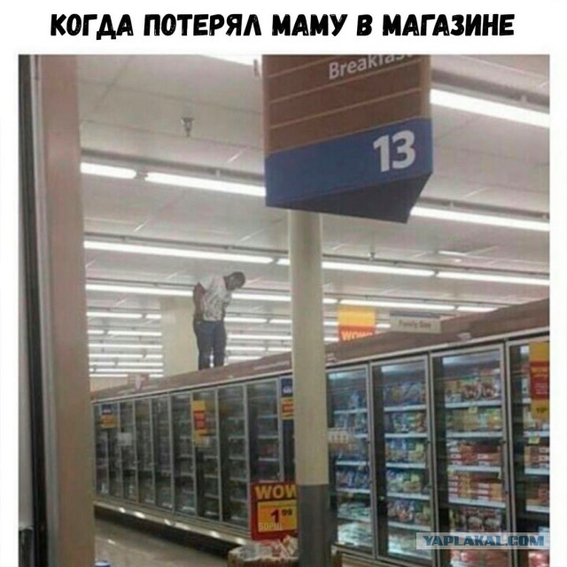 Подборка картинок с юмором "на любителя"
