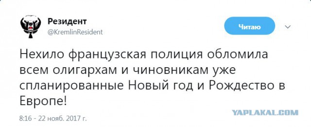 Смешные комментарии из социальных сетей 24.11.2017