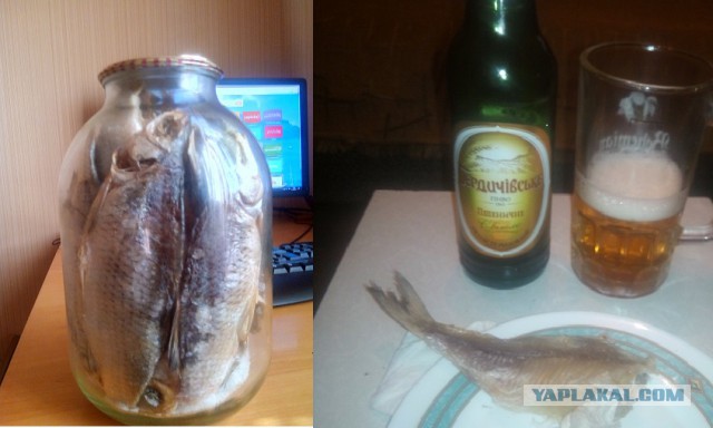 Какие русские блюда не нравятся иностранцам, и какие чужеземные не прижились в России