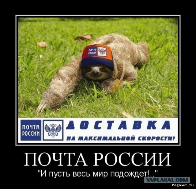 Как они страной руководить собрались то, а?