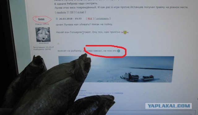 Беседка ФиС ЯПа 5