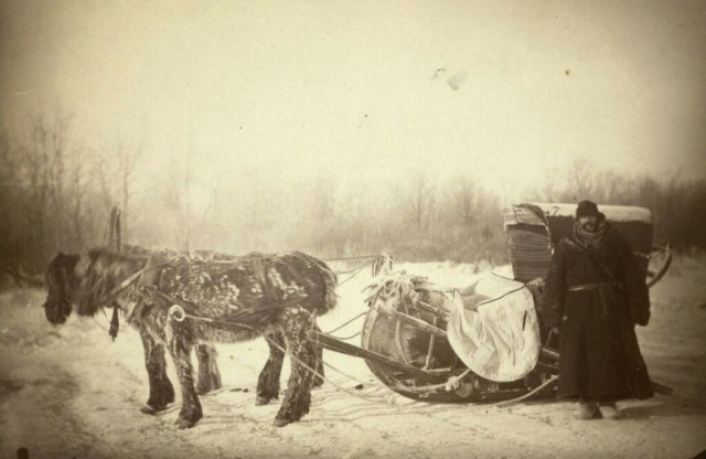 История в фотографиях