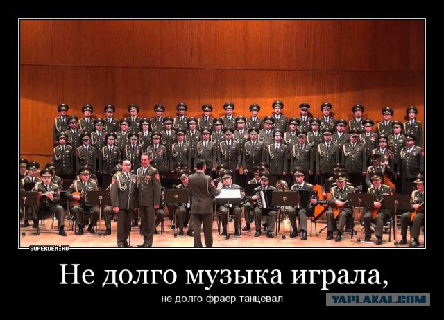 Смотри, как живет сенатор Арашуков, и не делай так