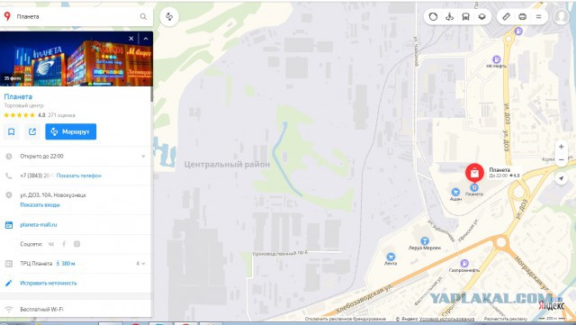 Водитель спас ребёнка от стаи бродячих собак