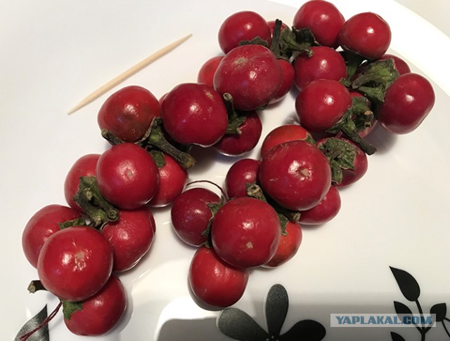 Сборная рисмяс