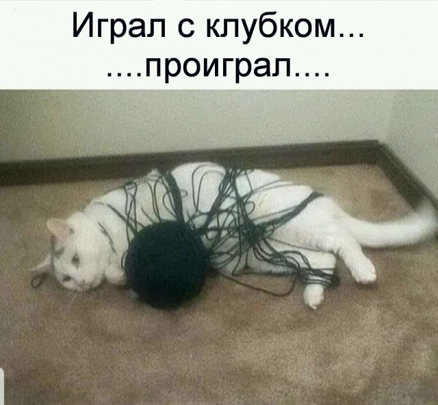 Приколюхи из скотсетей