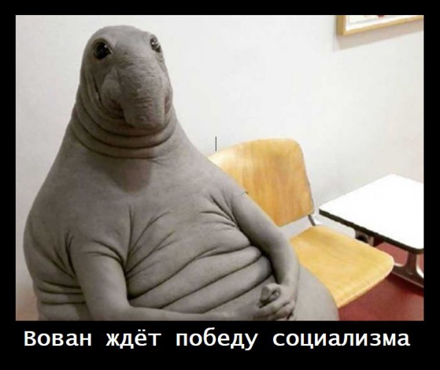Почему сегодня мы стали хуже жить, чем в СССР?
