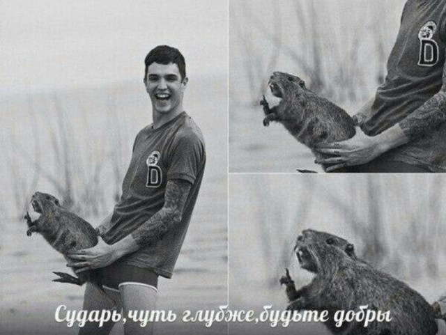 Картинки разные нужны, картинки всякие важны