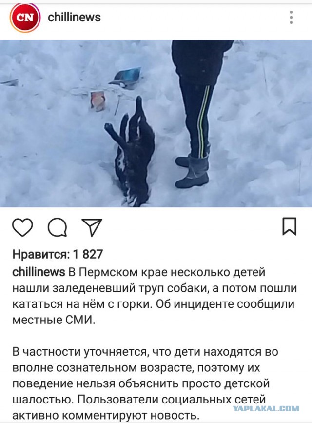 Когда нет интернета и даже скакалки.