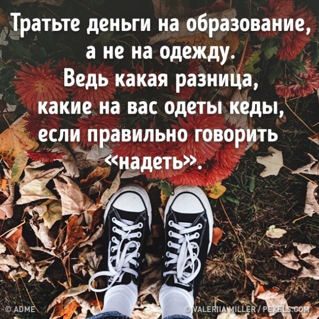 Русский язык может свести с ума даже тех, кто знает его с рождения