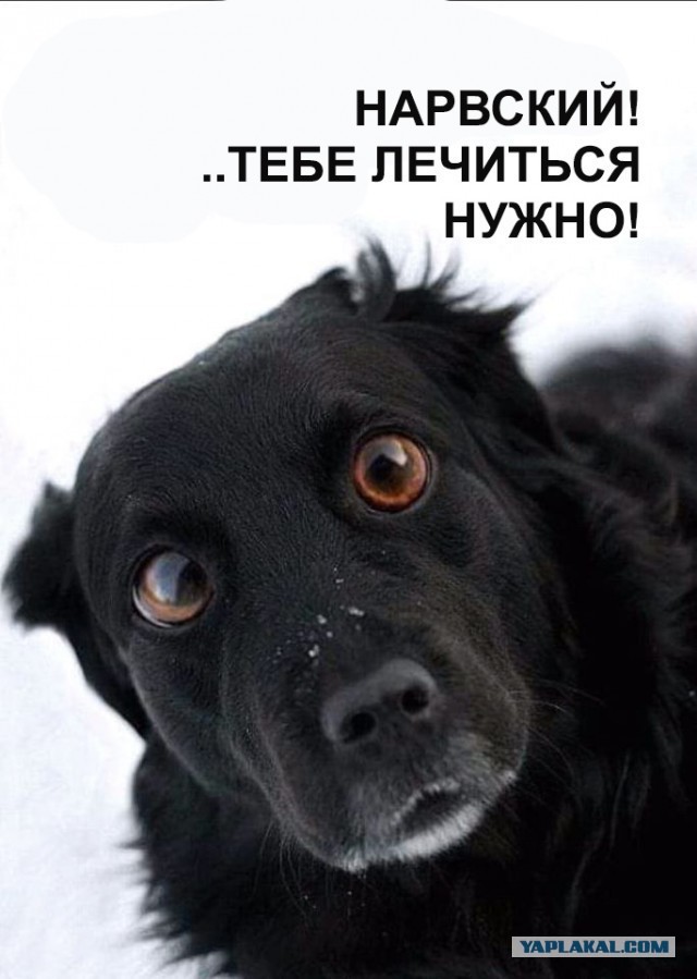 Кто там мою спину после операции увидеть хотел?