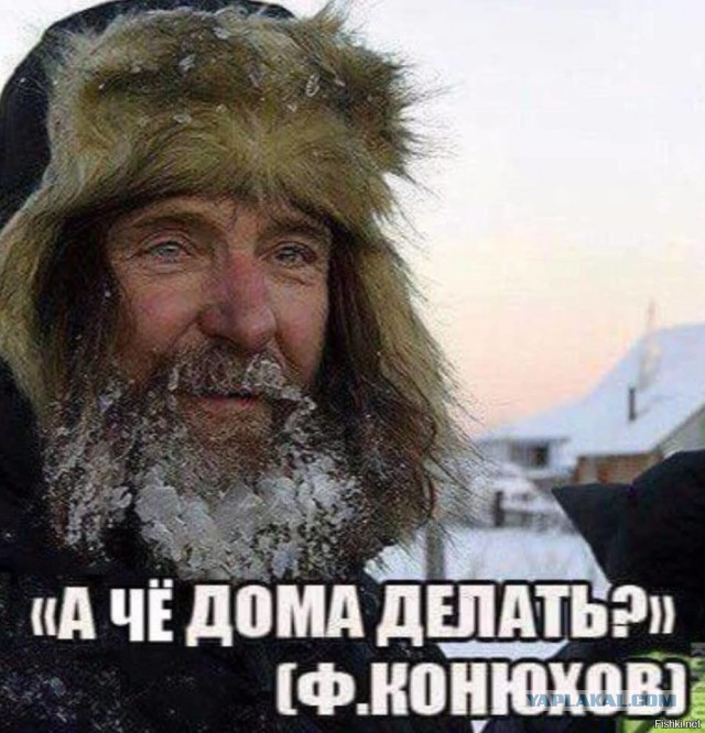 Выживальщики нервно курят в сторонке