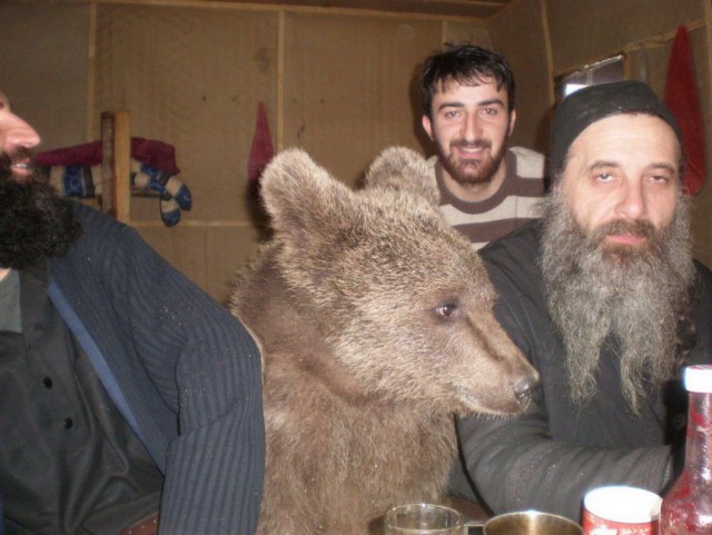 Всяко-разно обо всем