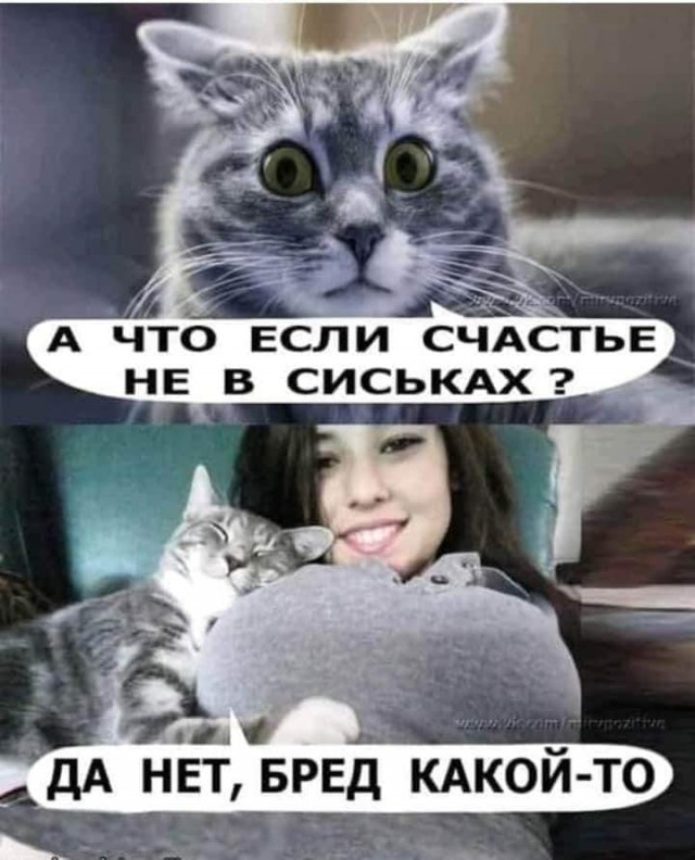 Да нет бред. Какой бывает бред. мем с котом и девушками за столом. нет бред какой то.