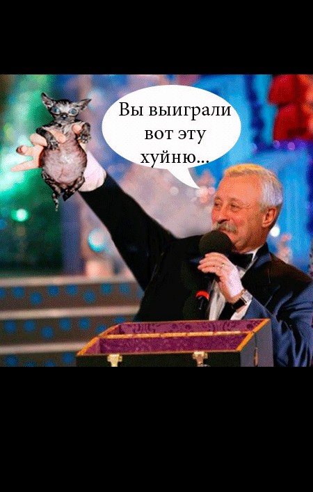 Современная история Золушки