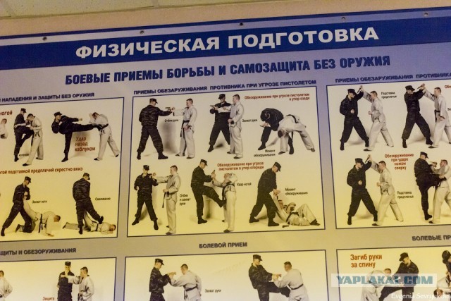 Главк УМВД Приморья не нашел нарушений или превышения полномочий в действиях сотрудников ГИБДД города Арсеньева