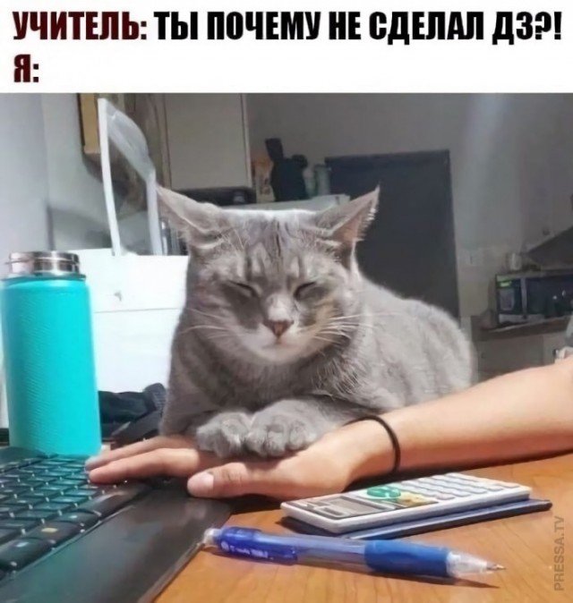 Картинки и мемы для настроения 030