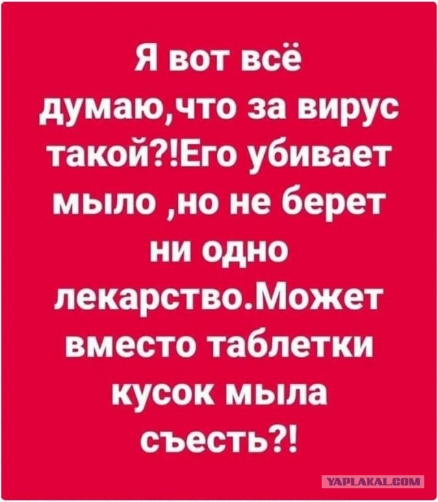 Путин поручил начать массовую вакцинацию всех россиян от коронавируса