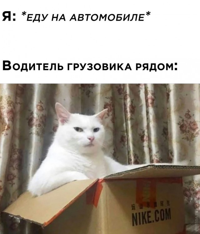 Картинки и мемы для настроения 021