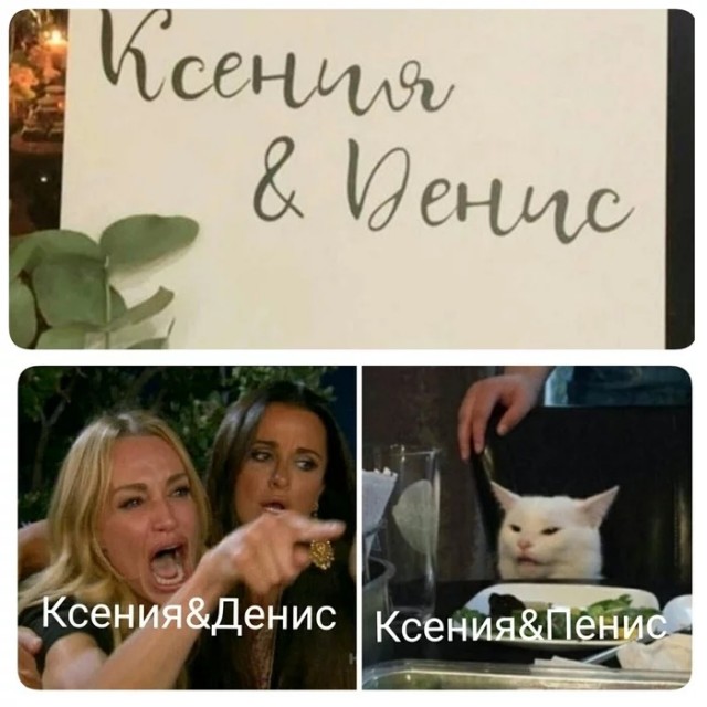 Кота не переубедить