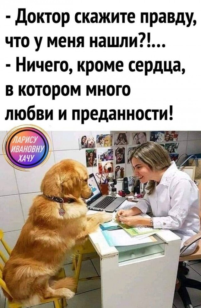 Картинки и мемы для настроения 009