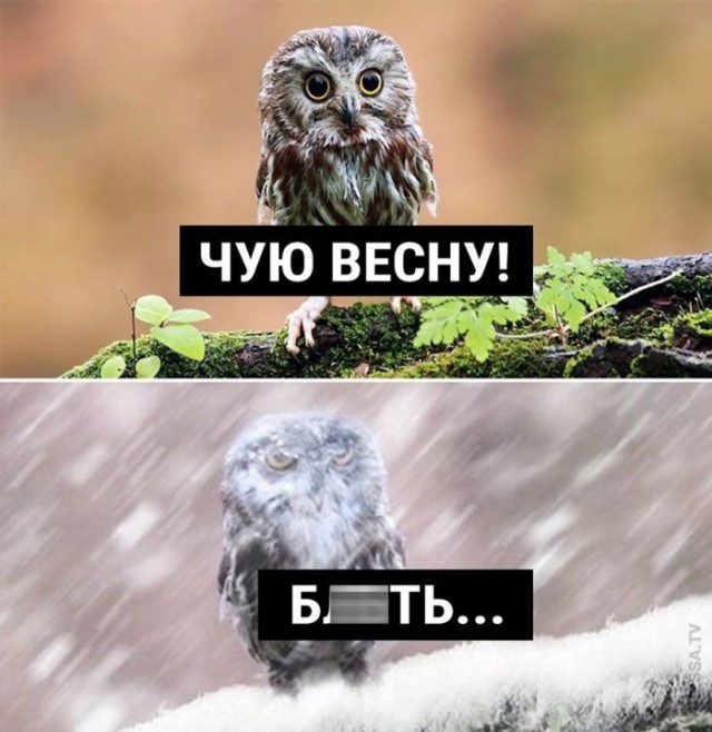 Бредзона 18.03.21