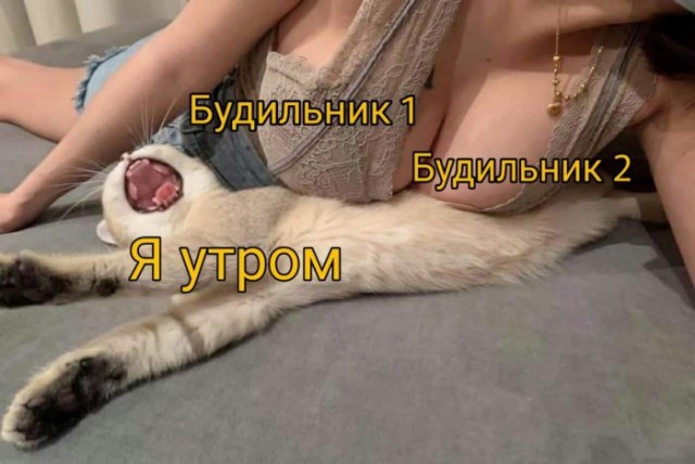 Картинки и мемы для настроения 12.04.2021