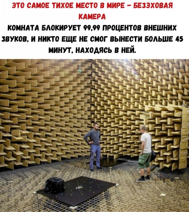 Картинки и мемы для настроения 029