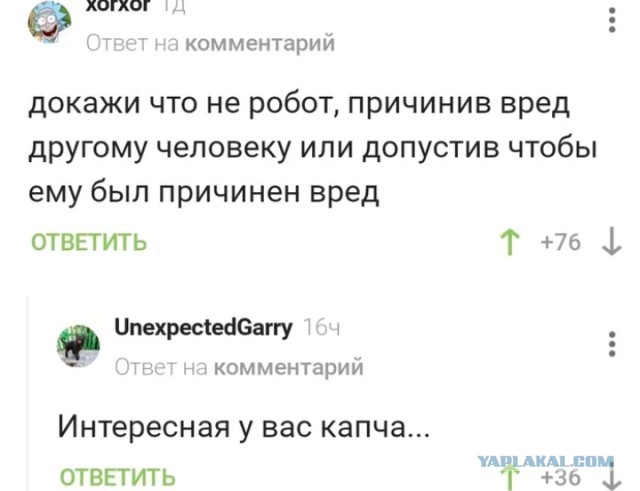 Весёлый полтишок 25.07