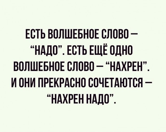 Весёлый полтишок 6.08