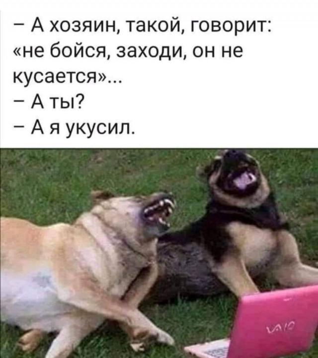 Забавные комментарии из социальных сетей (11.10.21)