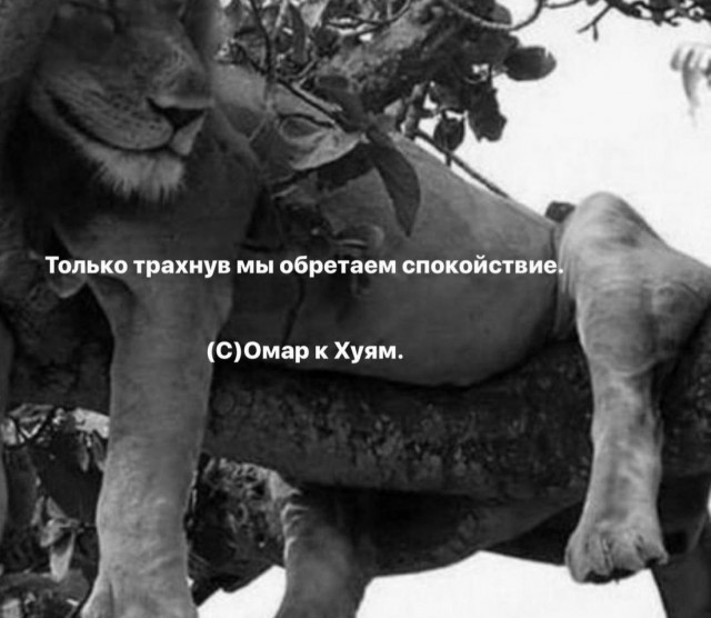 Картинки разные 25.04.2022