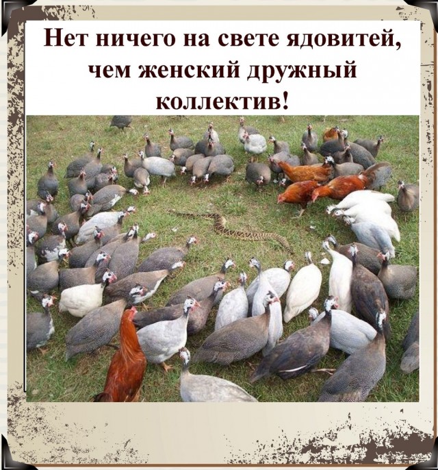 Так себе картинки 29.04.22
