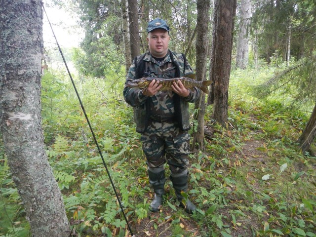 Река Кепа Карелия рыбалка