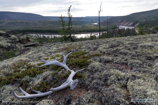 Сплав по реке Котуйкан.