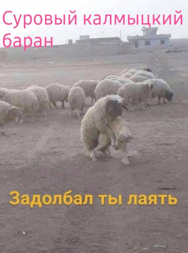 Топ-15 самых популярных региональных брендов