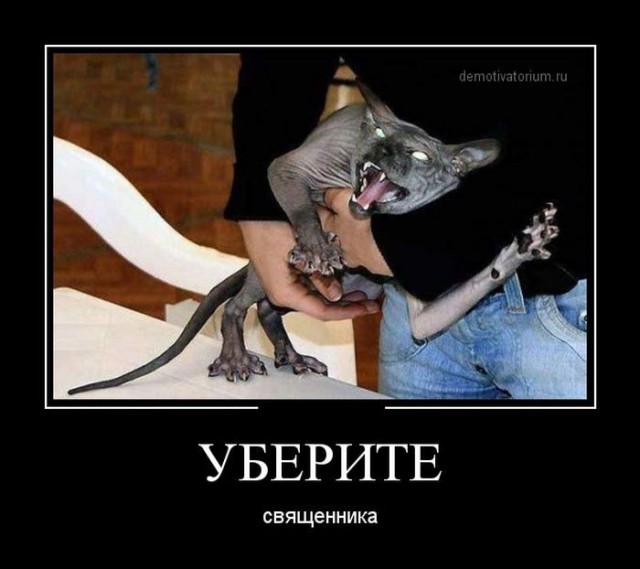 Всего понемногу 10.03.23
