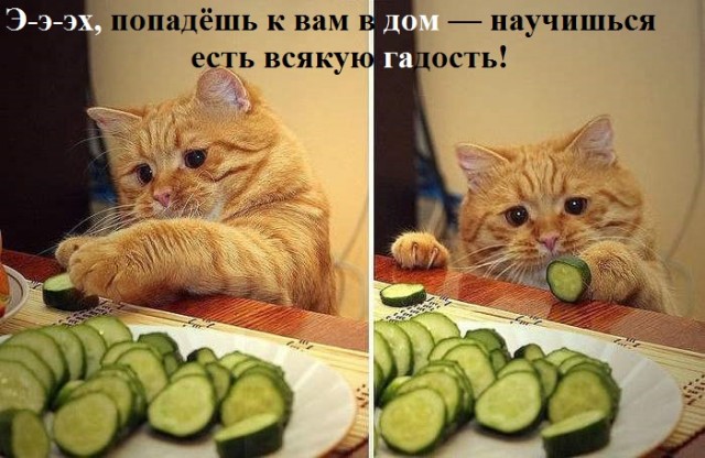 Картинки с надписями 14 03 22
