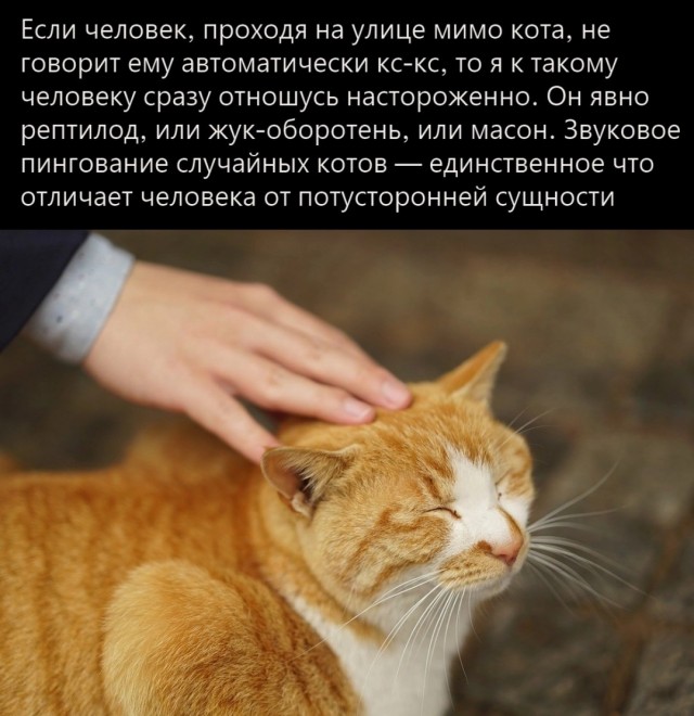 Жить ли с РСП?