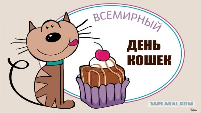 Демократия в опасности!