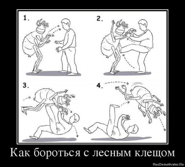 Задолбали борщевиком. Простой способ как убить его на своем огороде.